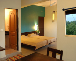Paradise Inn Room